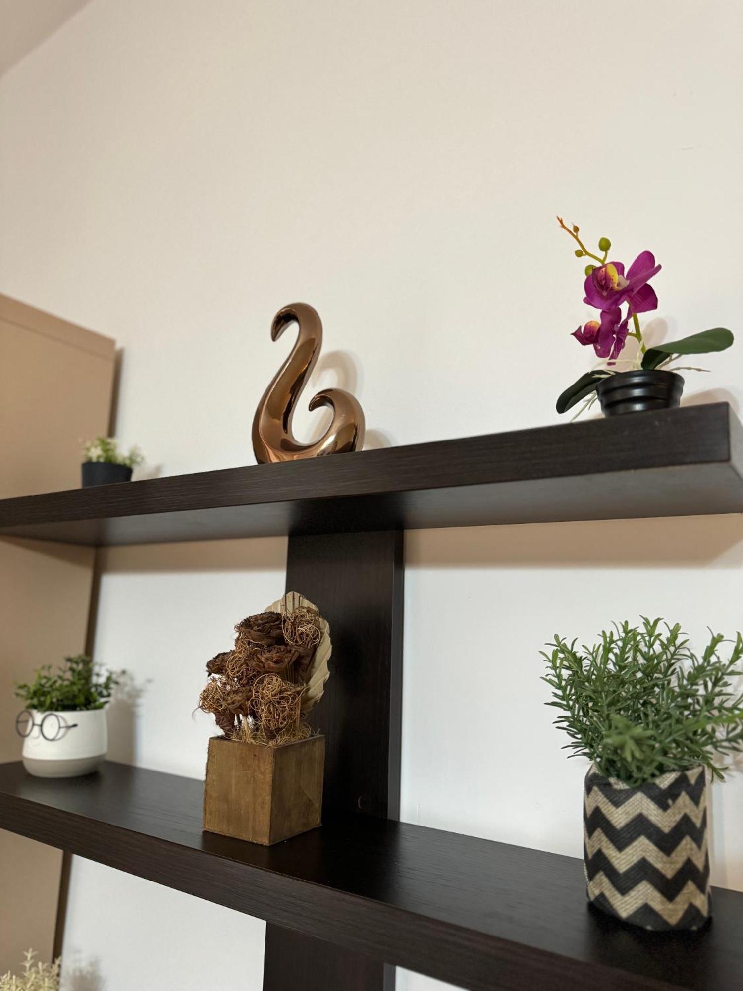 Ada'S Luxury Apartament&Studio - Old City 布拉索夫 外观 照片