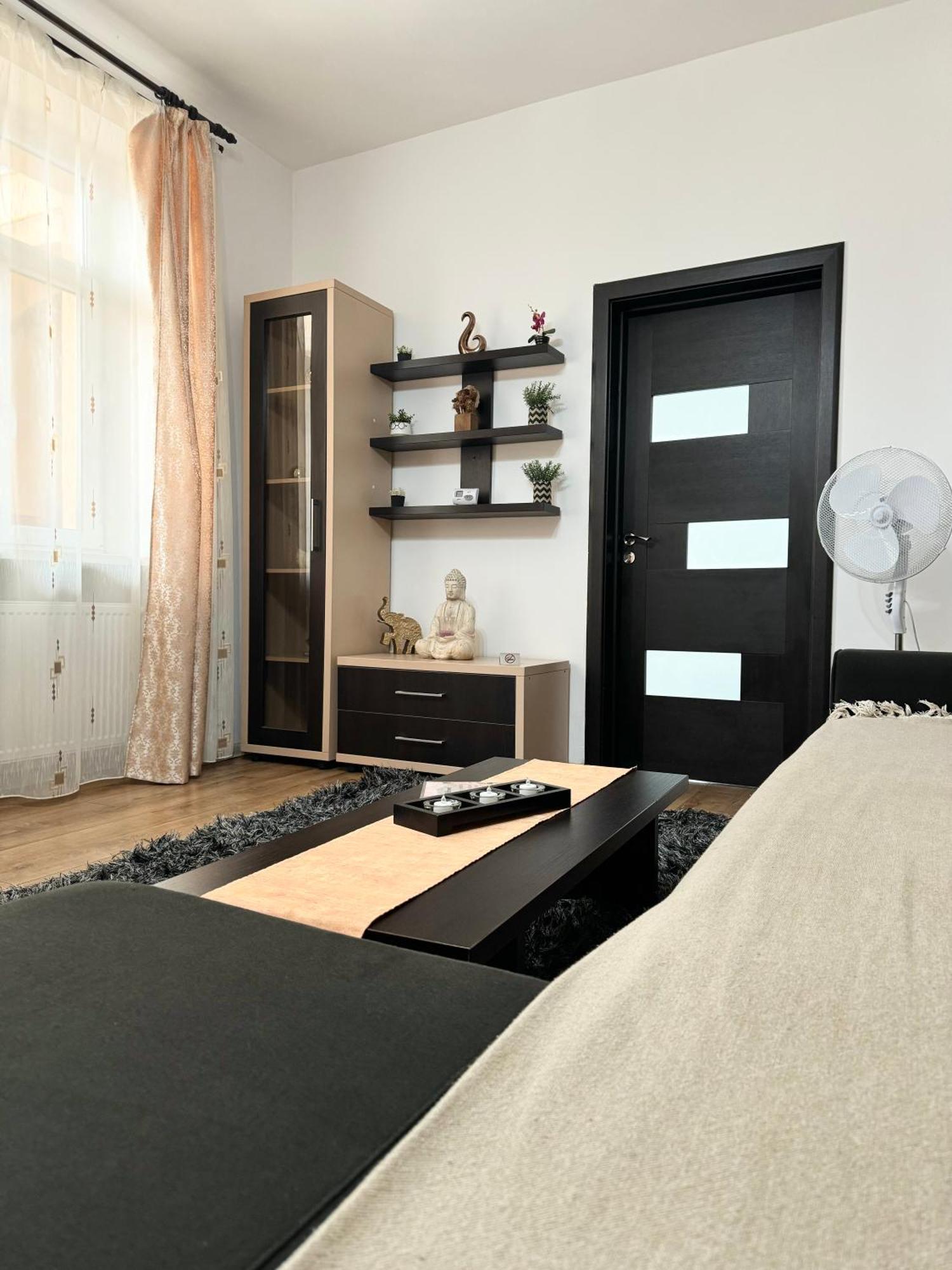 Ada'S Luxury Apartament&Studio - Old City 布拉索夫 外观 照片