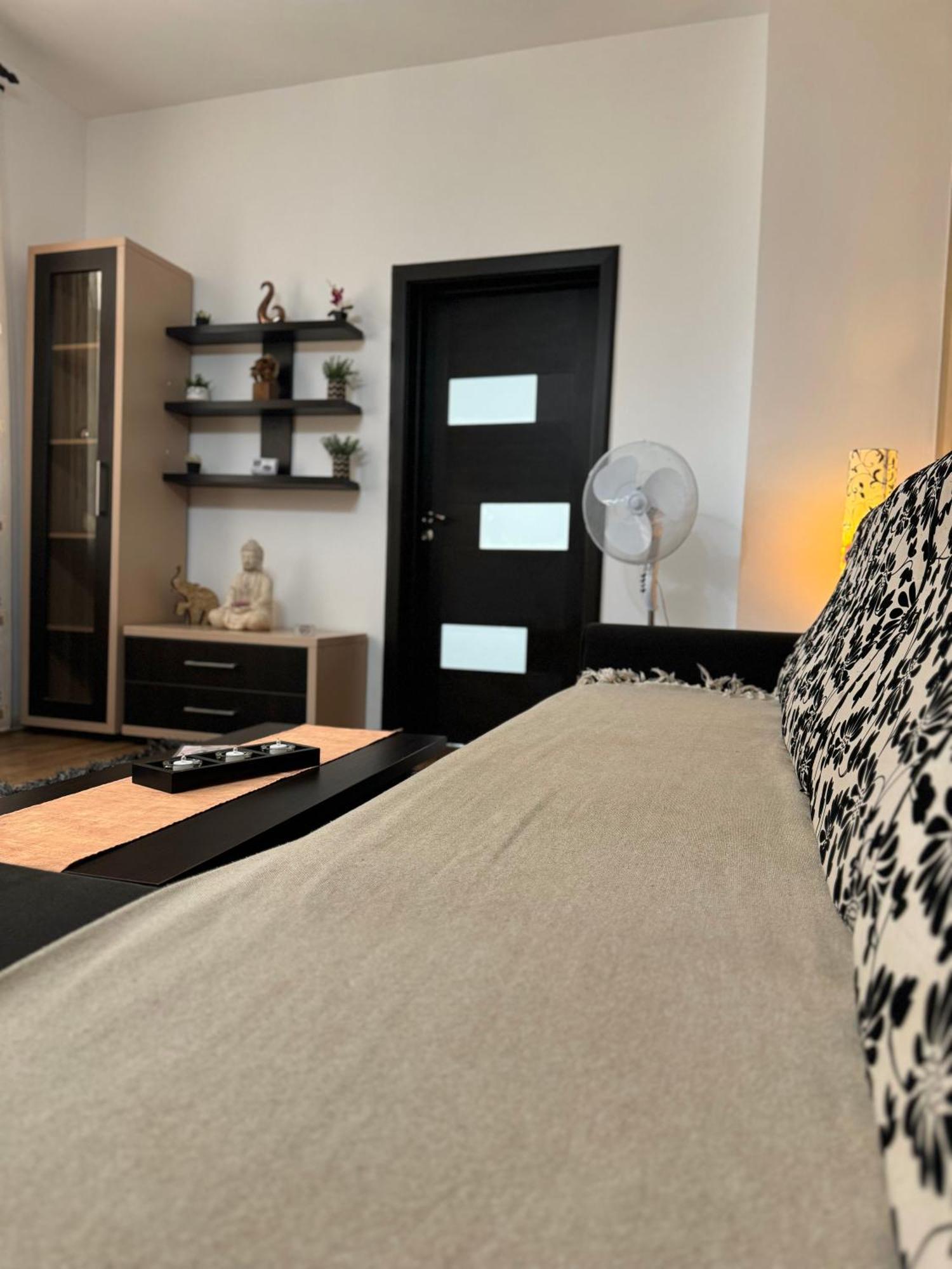 Ada'S Luxury Apartament&Studio - Old City 布拉索夫 外观 照片